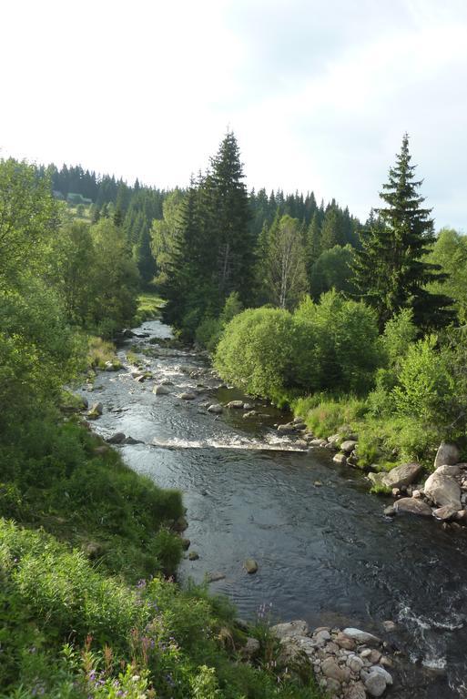 Penzion U Pstruha Modrava Buitenkant foto
