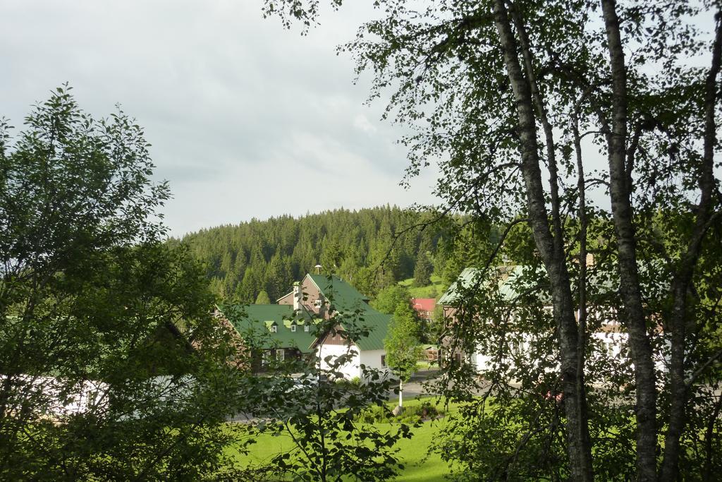Penzion U Pstruha Modrava Buitenkant foto
